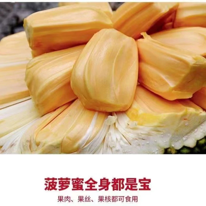 丸子【黄肉】越南树熟菠萝蜜整果香甜爽口