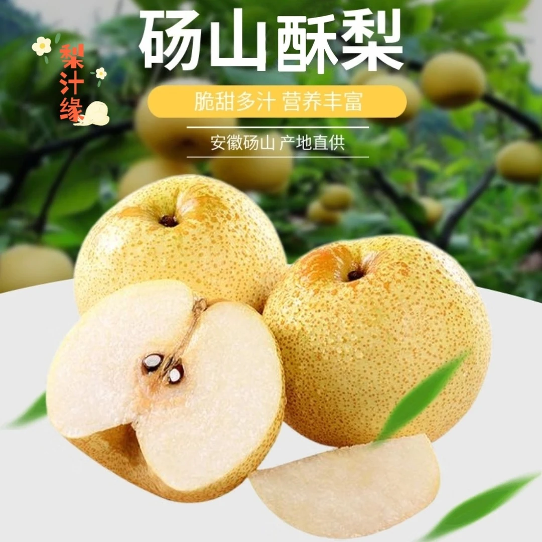 酥梨4.5-5斤果现摘现发新鲜应季水果酥脆多汁安徽砀山梨
