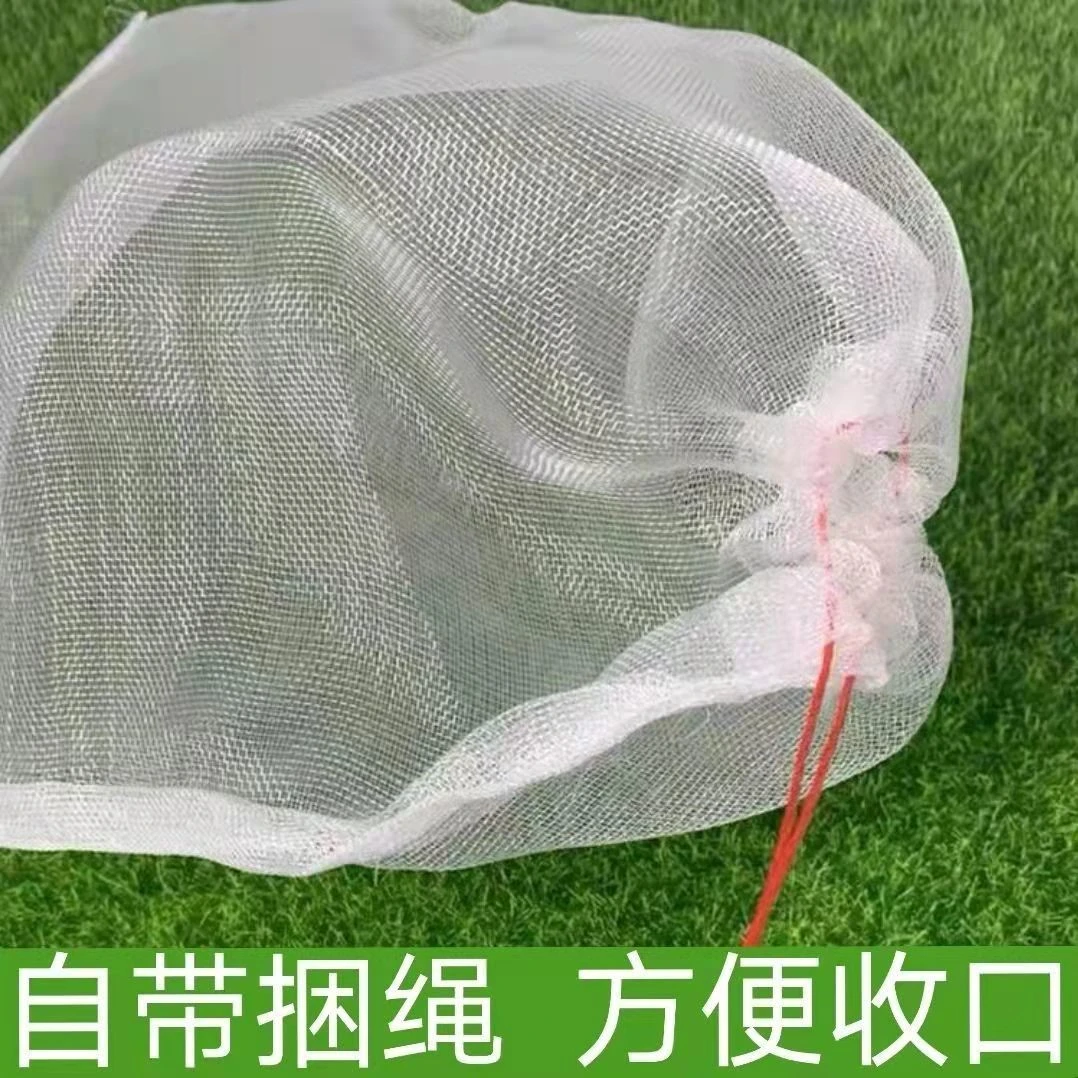 点砚尼龙过滤纱网袋晾干菜晒腊肉火腿防虫网兜果套袋防鸟茶青种子