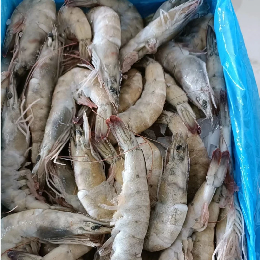 渤海湾海水大虾 鲜活速冻 无冰超大个 【顺丰冷链】