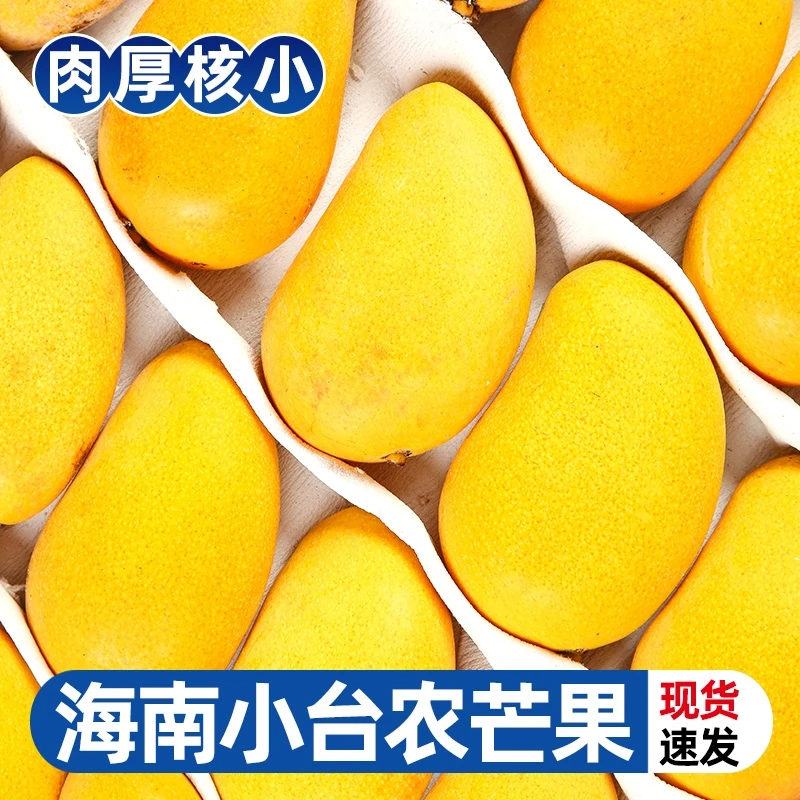 小台芒果新的3-9斤热带水果新鲜当季大纯甜心忙台农芒整箱包邮