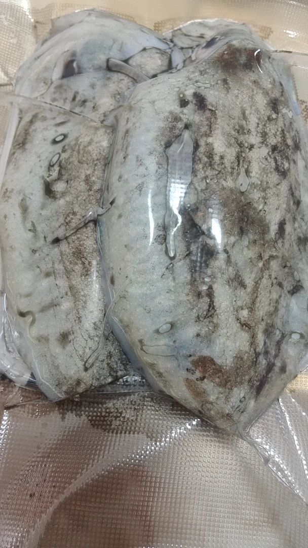 北海虾船捕捉新鲜墨鱼5斤