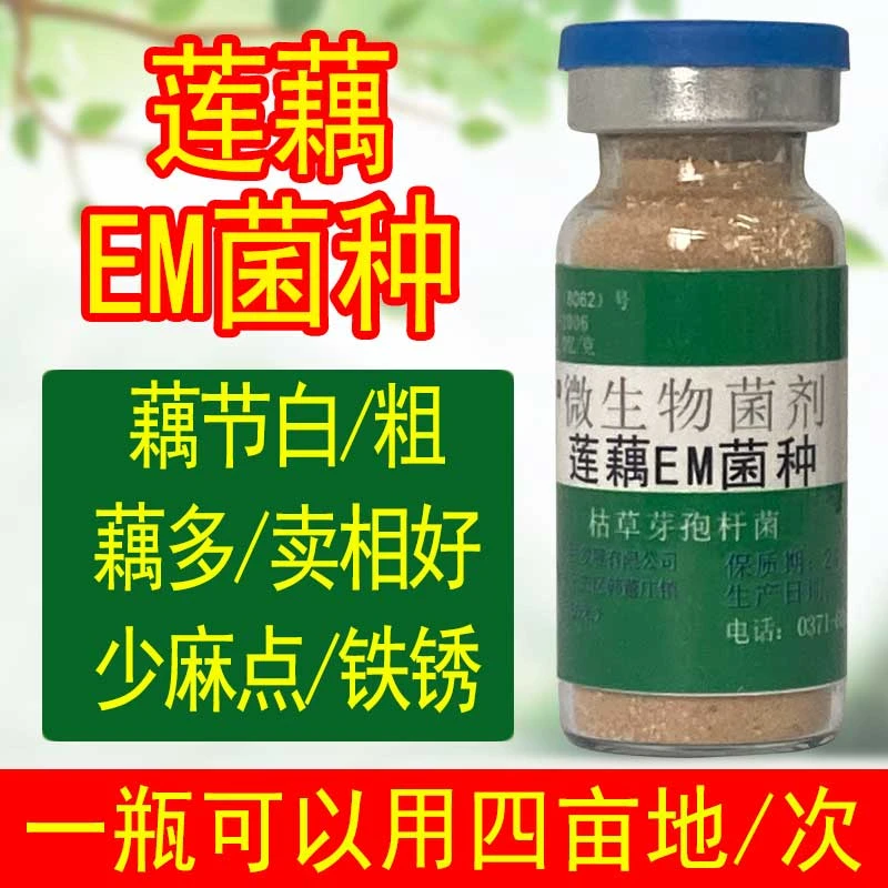 益富源莲藕菌种莲藕宝肥料叶面肥营养液麻点僵藕微生物菌肥EM菌种