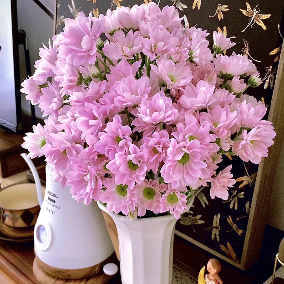 【小菊】   三文鱼小菊    包邮发货鲜花