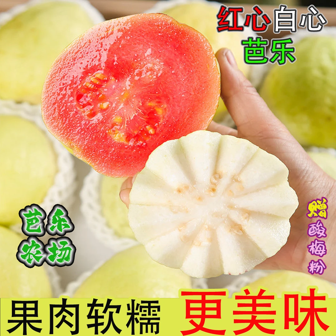 新鲜红心白心软芭乐草莓奶油番石榴低糖低卡包邮口感软糯产地直发