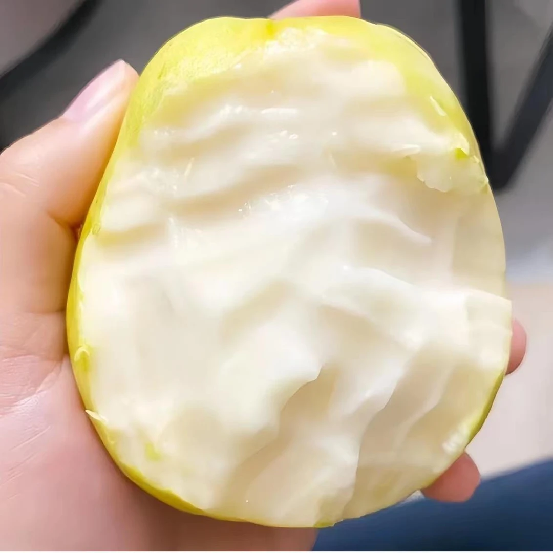 广东湛江红心芭乐番石榴软糯酸甜西瓜红饱满果肉丰富口感产地直销
