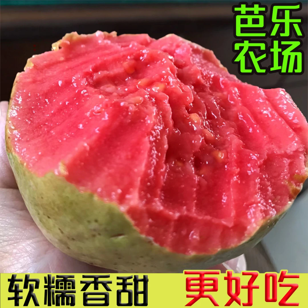 甄选草莓软芭乐酸甜多汁新鲜采摘香甜软糯红心纯正番石榴产地直发