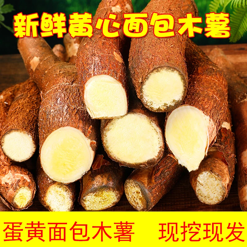 广西新鲜白肉面包木薯现挖黄心蛋黄树薯粗粮农家特产香糯面1-9斤