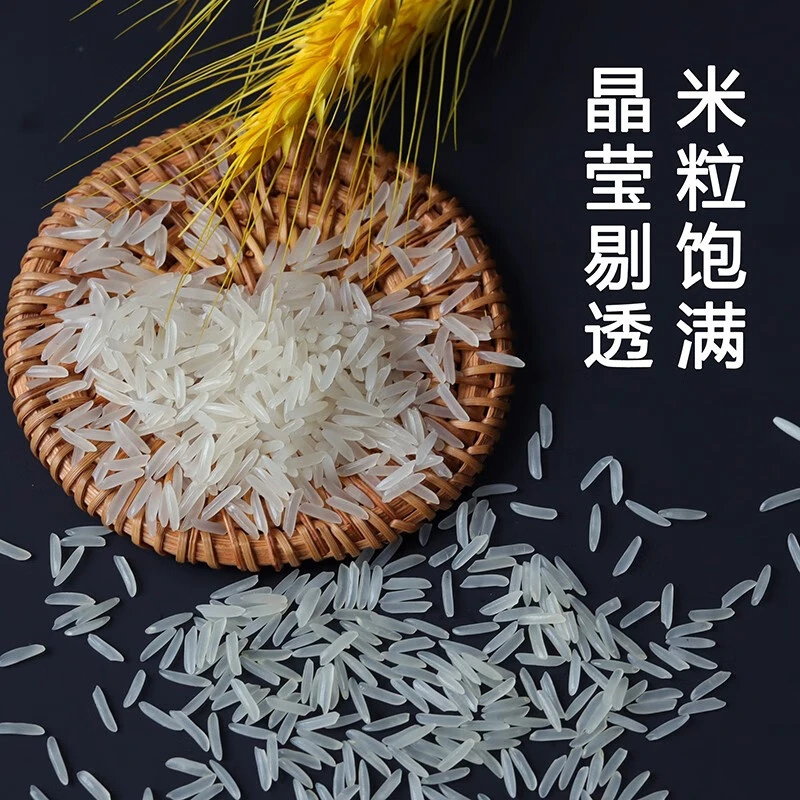 （新人专属）50斤当季新米长粒香猫牙丝苗米 新米大米10斤20斤50斤Y