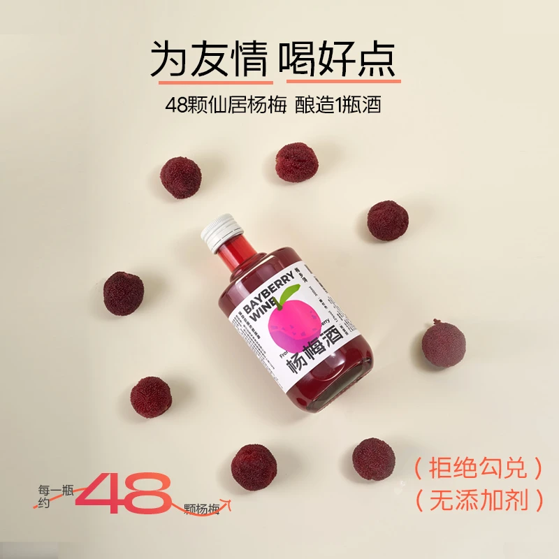 梅乡浔12度低度微醺好喝高颜值女士酒仙居杨梅果酒300ml*6度数