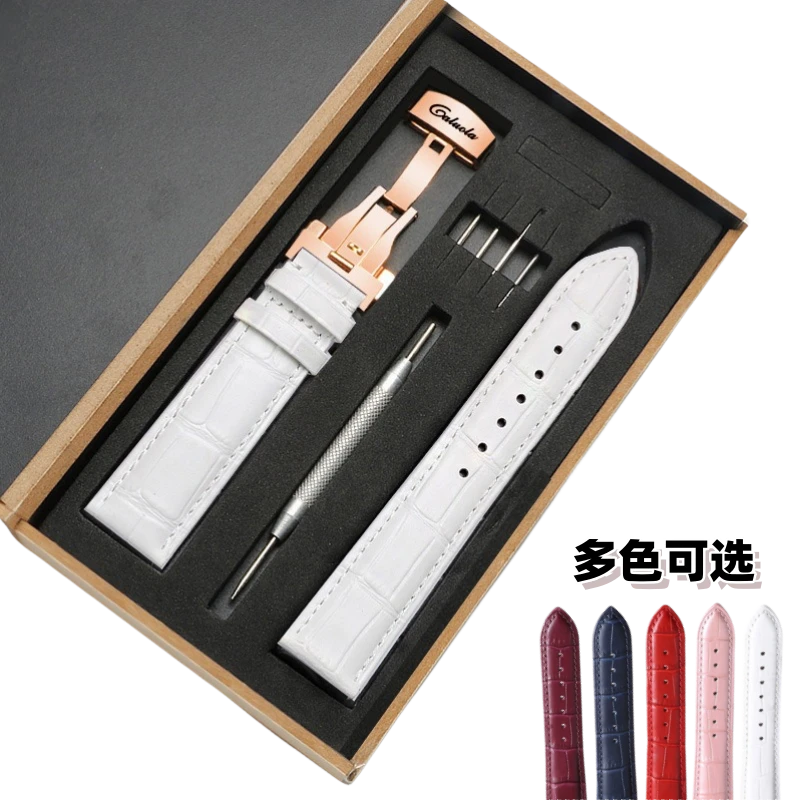卡罗莱白表带