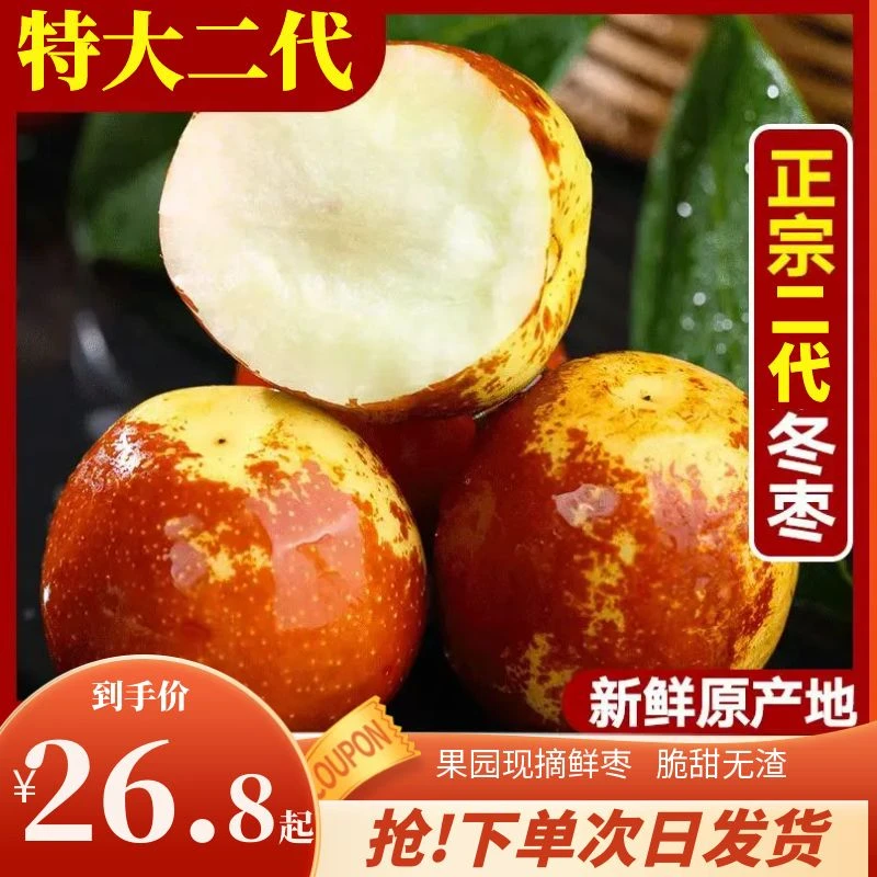 霜来红正宗沾化二代短枝冬枣非大荔冬枣晚熟特大果脆甜