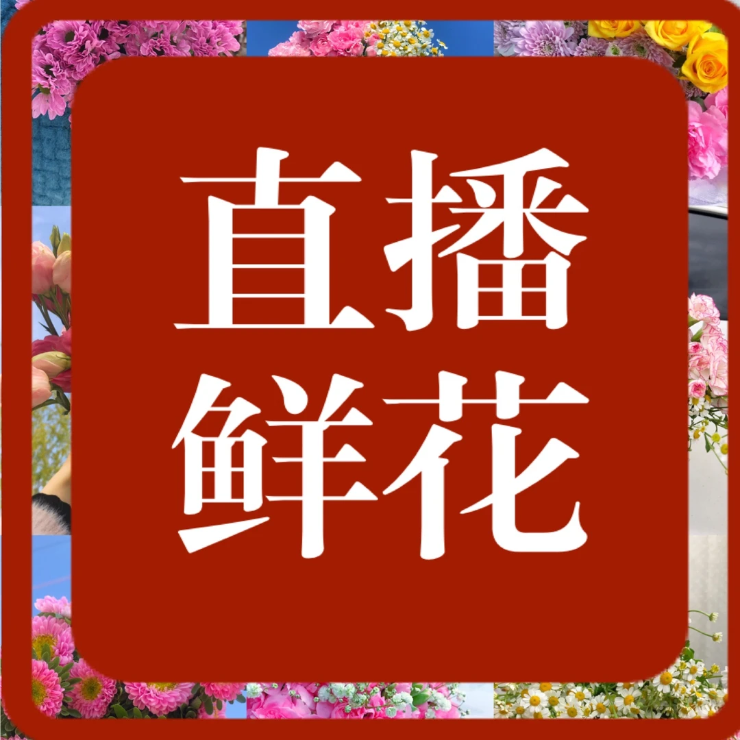 10315【鲜花组合】一物一拍 秒拍秒发 现场发货
