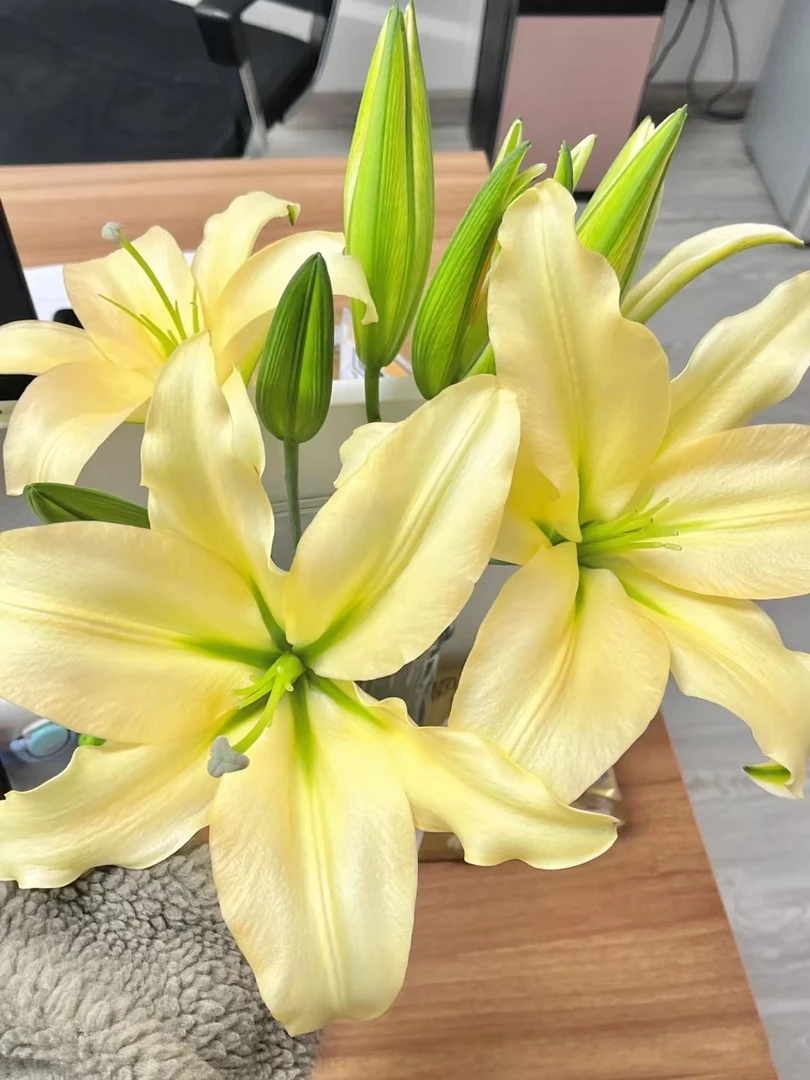 皇帝百合二头5支（10朵）  批发花店摆地摊直发一手货源