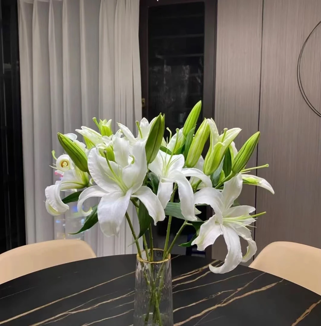 西伯利亚百合 一头   白色百合花店摆地摊