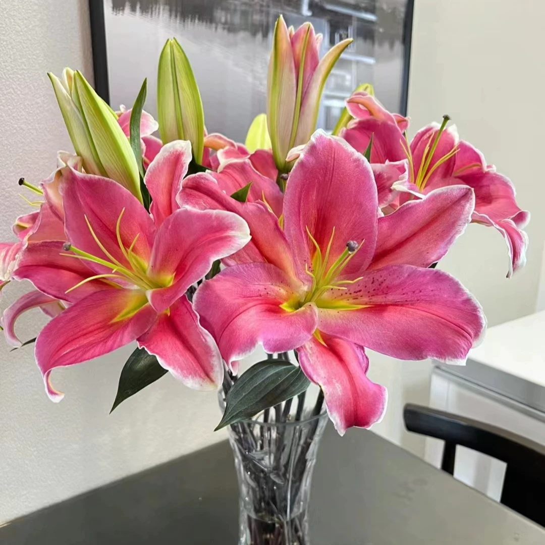 特红百合二头5支（10朵） 批发花店摆地摊直发一手货源