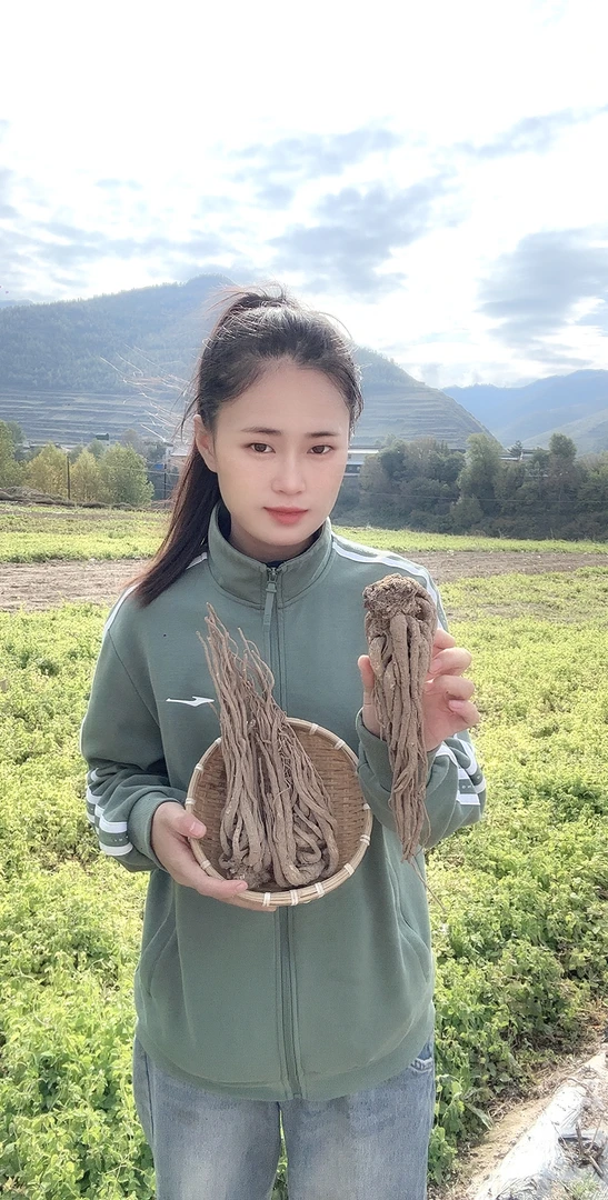 甘肃岷县原产地当归原条精选特大条