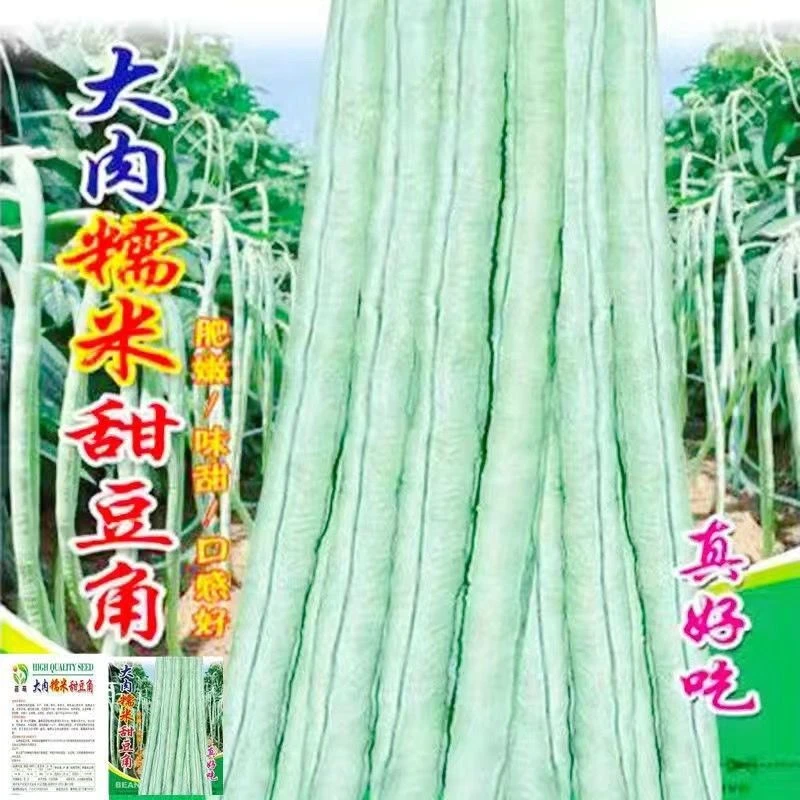 【今年新种】【新店浮力】四季种植超好吃大肉糯米甜豆角蔬菜大全