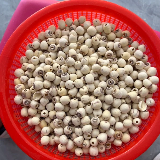 云南特产 普者黑莲子 煮粥好料