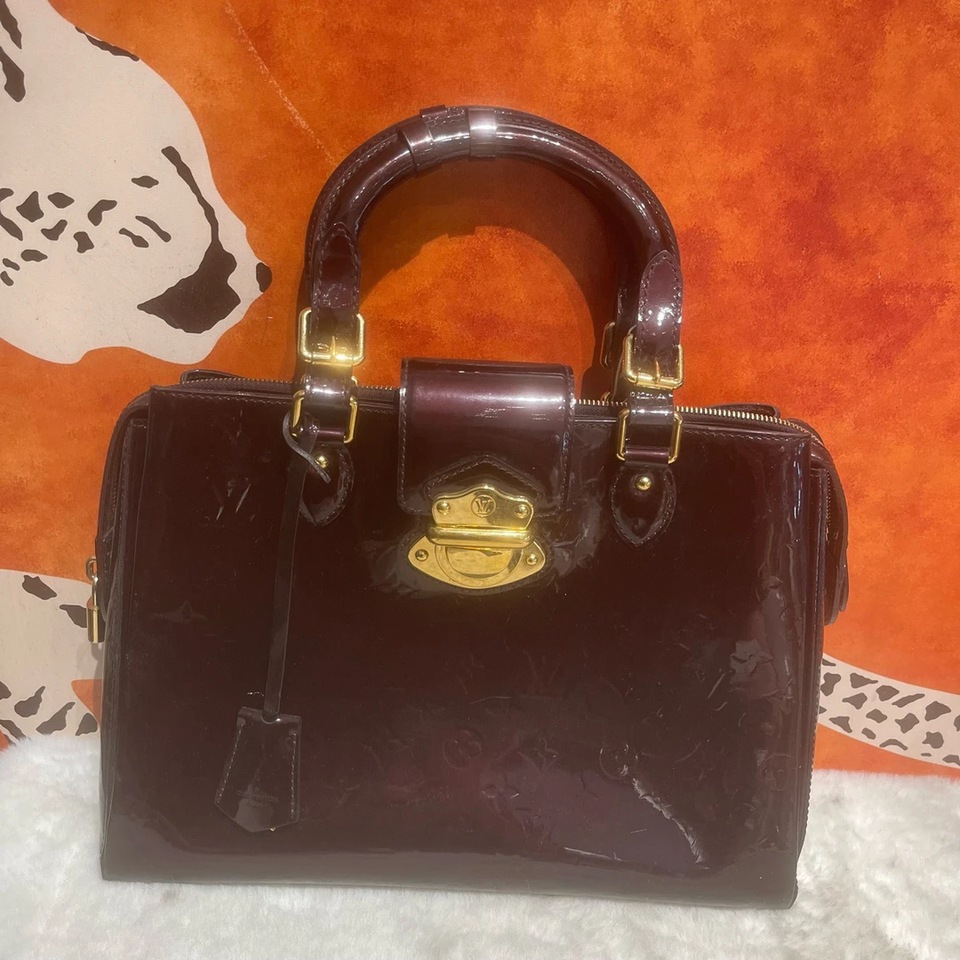 95新 LouisVuitton/路易威登 8729 手提包