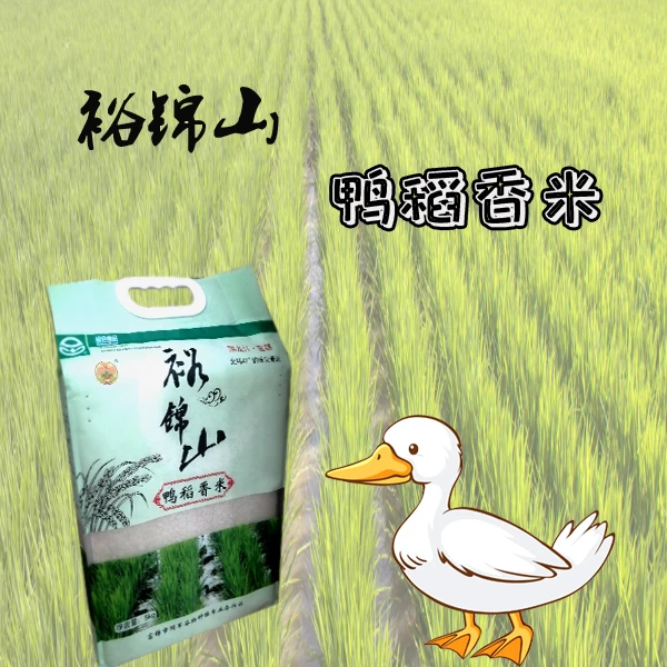 裕锦山鸭稻香米5kg 鸭稻共生 东北大米直邮