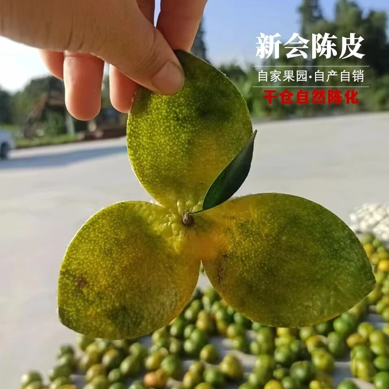 【东甲牛肶围二红皮】2023新会陈皮大红皮