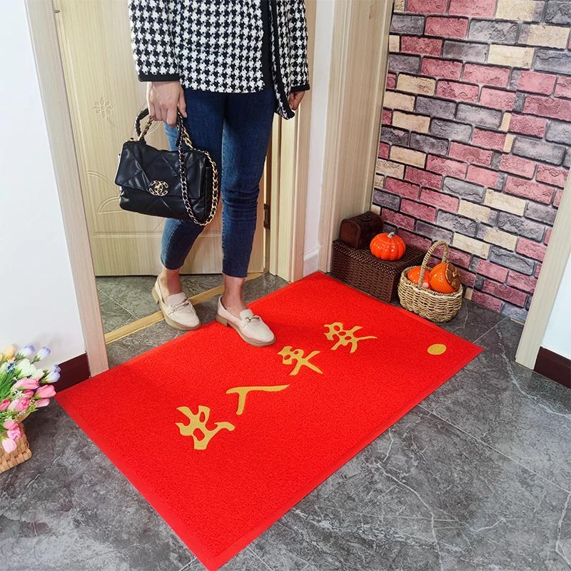 入户门垫出入平安地垫丝圈进门脚垫加厚塑料欢迎光临门口专用垫子
