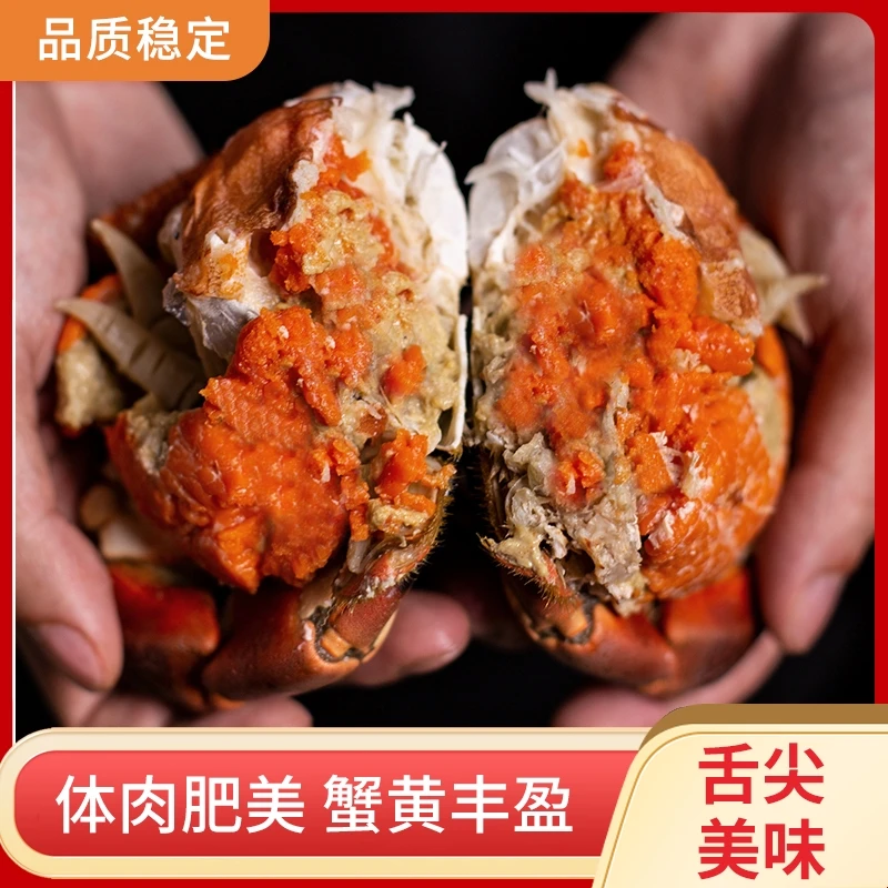 新疆包邮面包蟹珍宝蟹黄道蟹熟冻600-800g/只