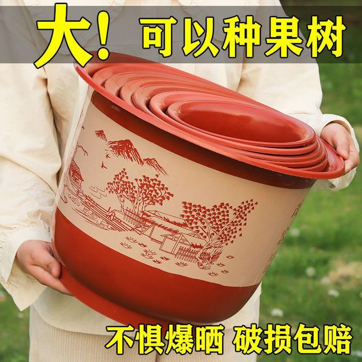 T【5个|6个装】【口31高23】大号加厚仿陶瓷树脂塑料耐晒环保果树花盆