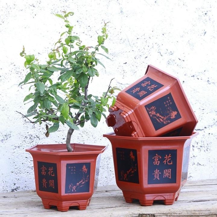 【拍一发三】黑花340花盆六角花盆3个带托盘（对角25高17）