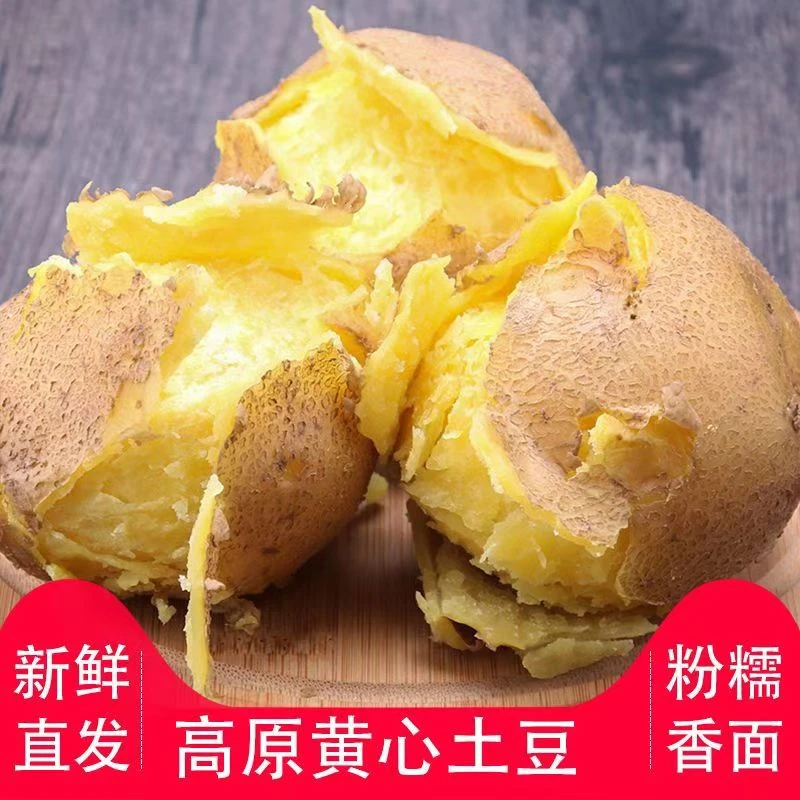 2025甘肃定西现挖土豆农家自种沙地洋芋黄皮黄心马铃薯整箱产地