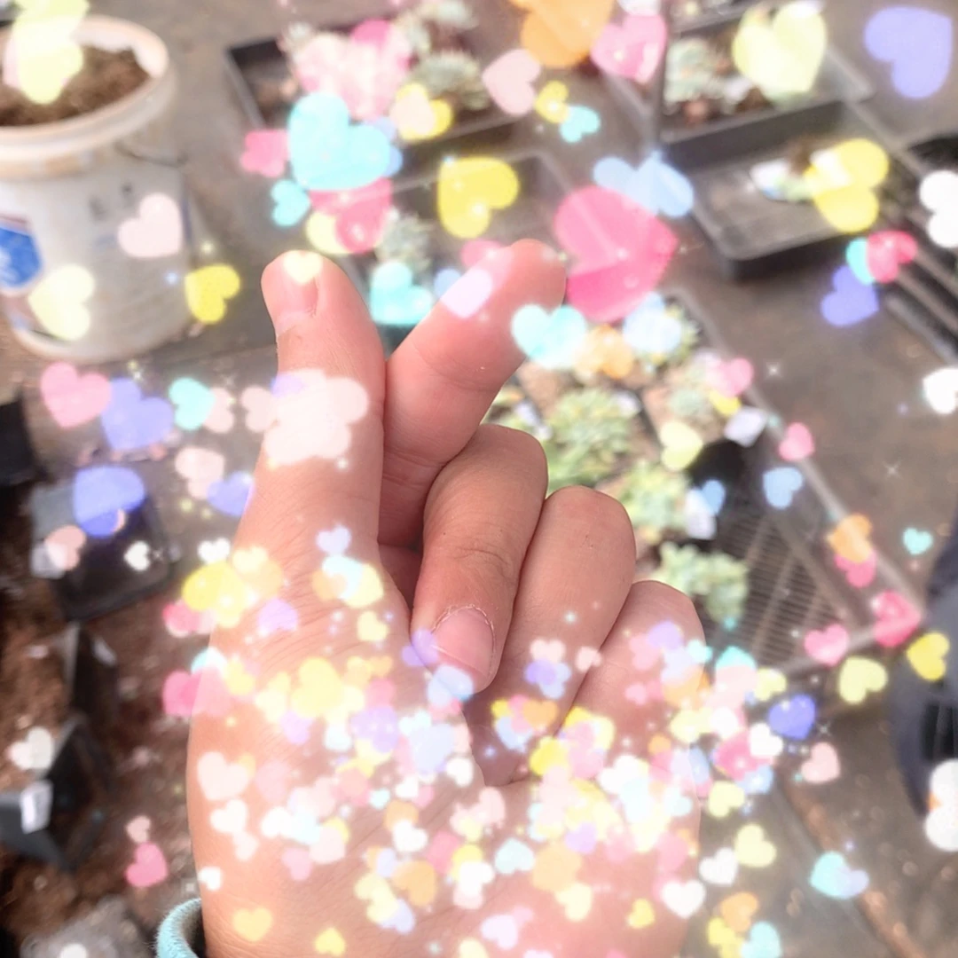 吃**么啦啦啦啦啦啦啦啦啦啦还余2700