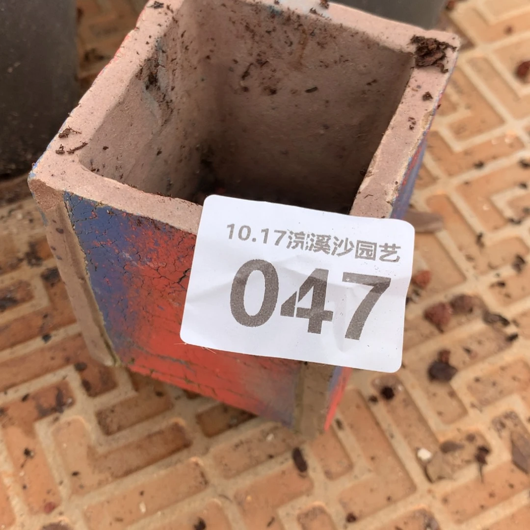 瑾**.047盆一个啦啦啦啦