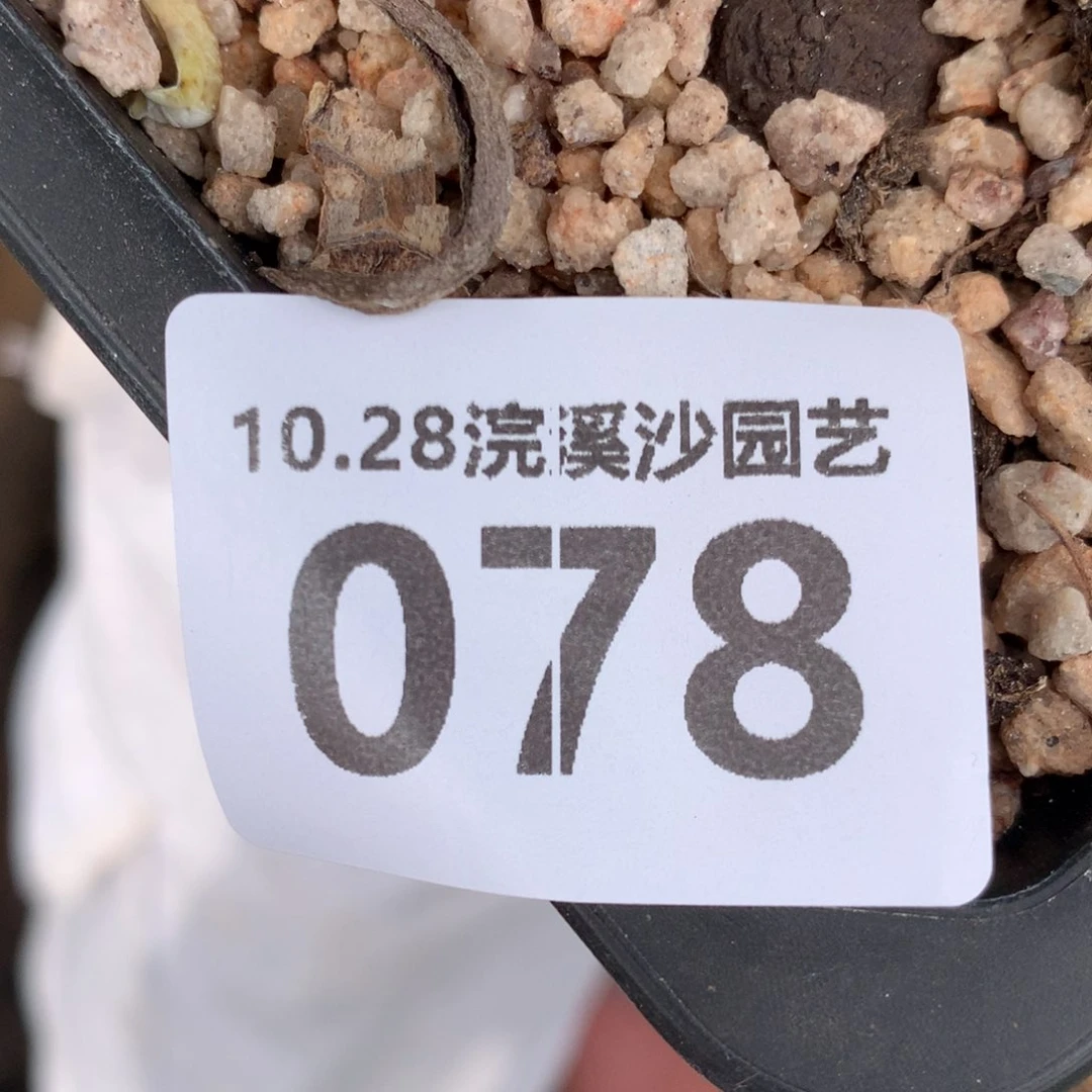 ༄*078啦啦啦啦啦啦啦