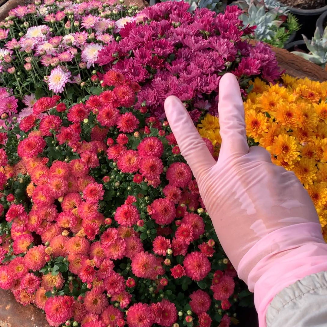 吃**么嘻嘻嘻嘻嘻嘻嘻嘻嘻嘻