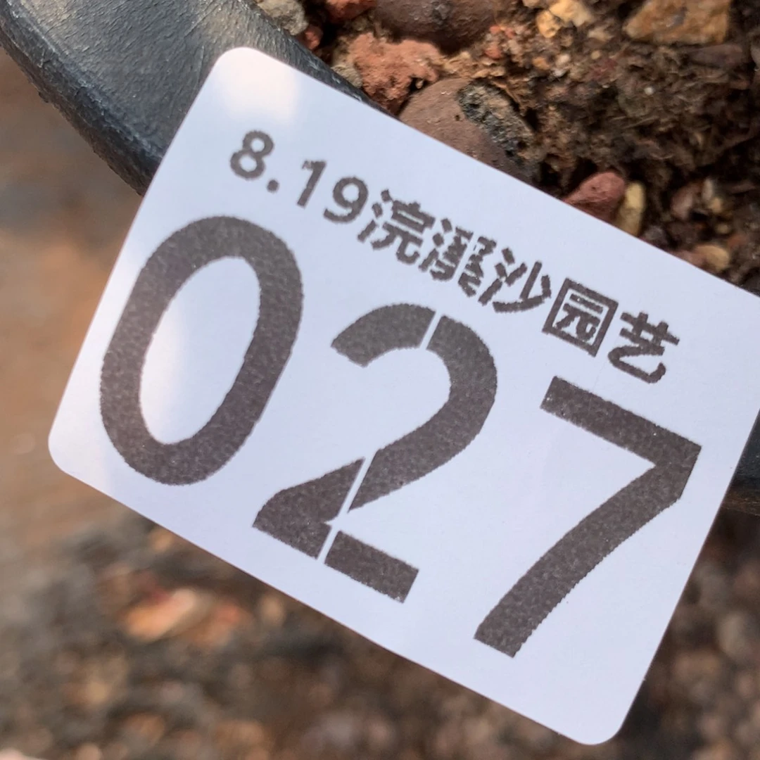 瑾**.咿呀咿呀咿呀027