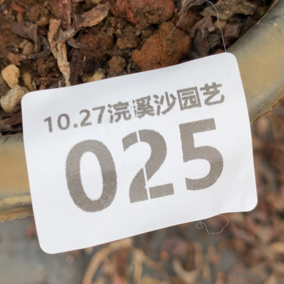 随***^绿拇指杂交025哇哈哈哈哈哈