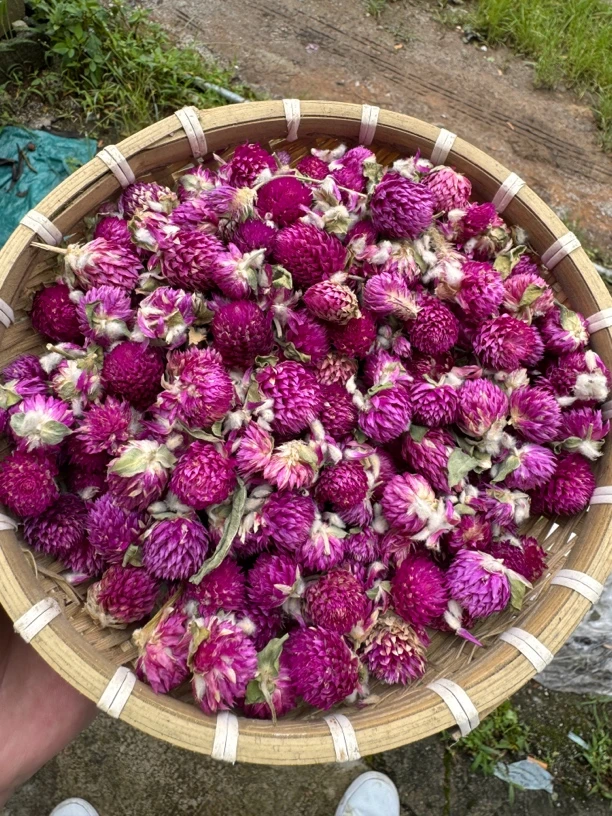 云南山货土特产（红）巧