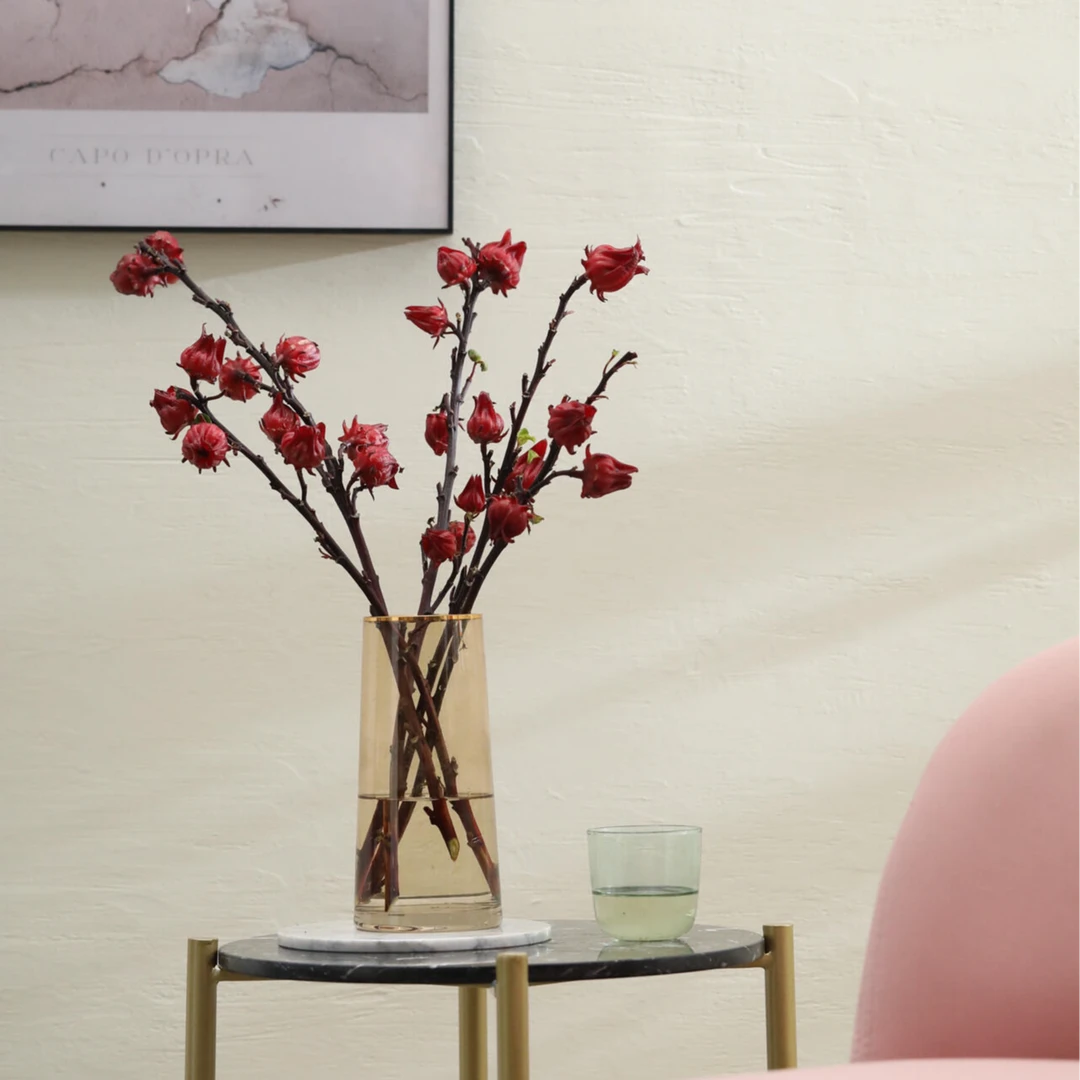 洛神花云南基地直发