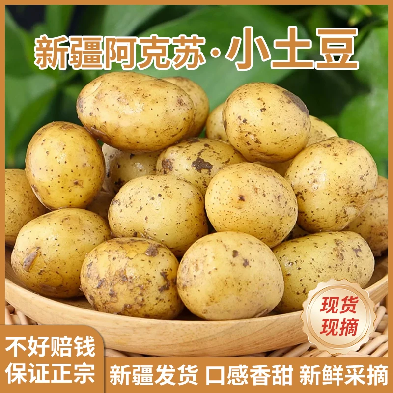 新疆农家现挖水果土豆黄皮黄心小小正宗农家农家菜黄心土豆