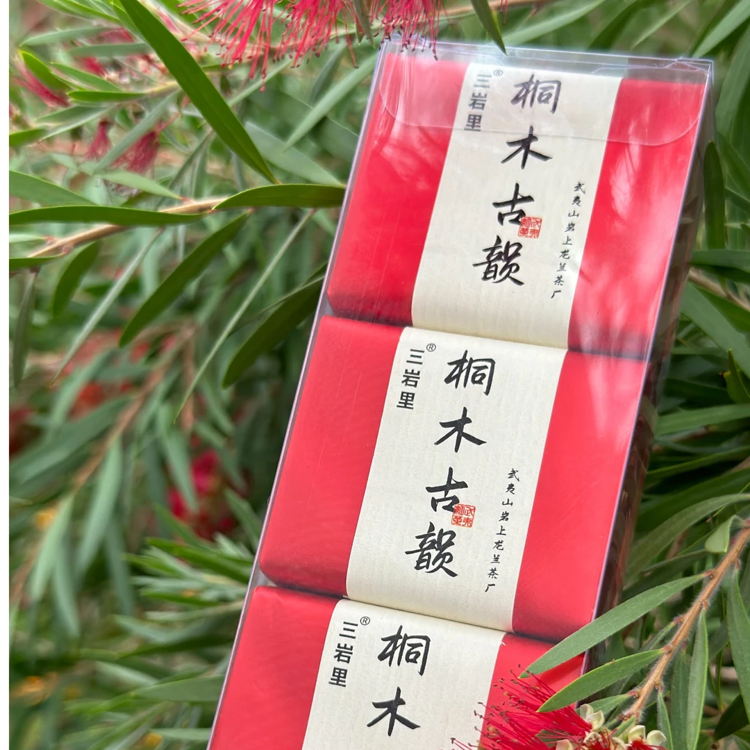 三岩里武夷山正山小种 红茶 新茶严选耐泡工艺好茶甘甜品鉴