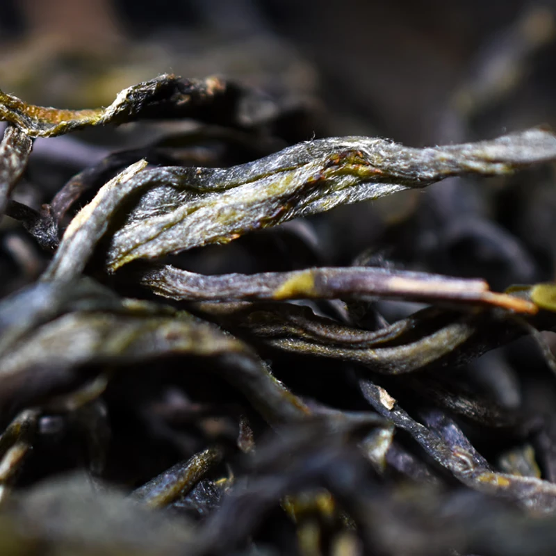 普洱生茶（千龙潭单株）散茶 2023年春茶生普茶叶