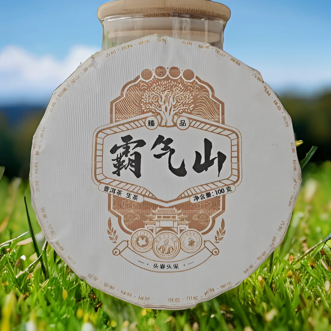 普洱生茶 【霸气山】2021年/100克茶饼/春茶【古树纯料】高山好茶