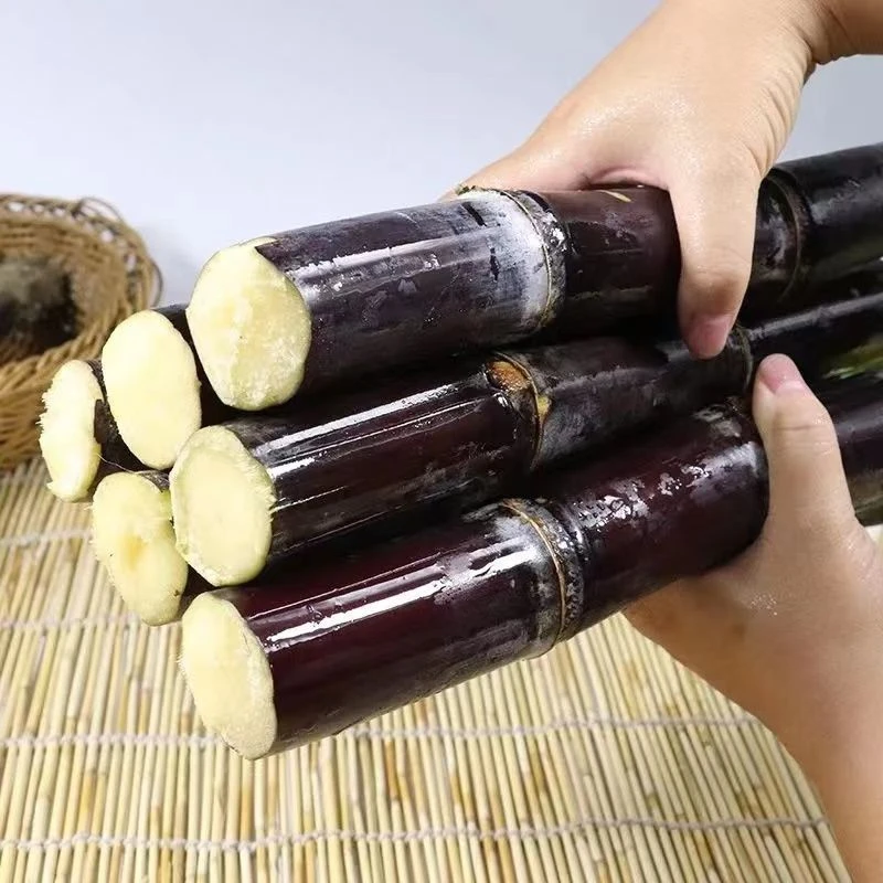正宗广西黑皮甘蔗 清香 脆甜多汁 新鲜现砍发货脆爽皮薄