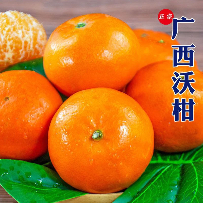 正宗广西沃柑  产地现摘发货 鲜甜多汁新鲜包赔保鲜产品送货