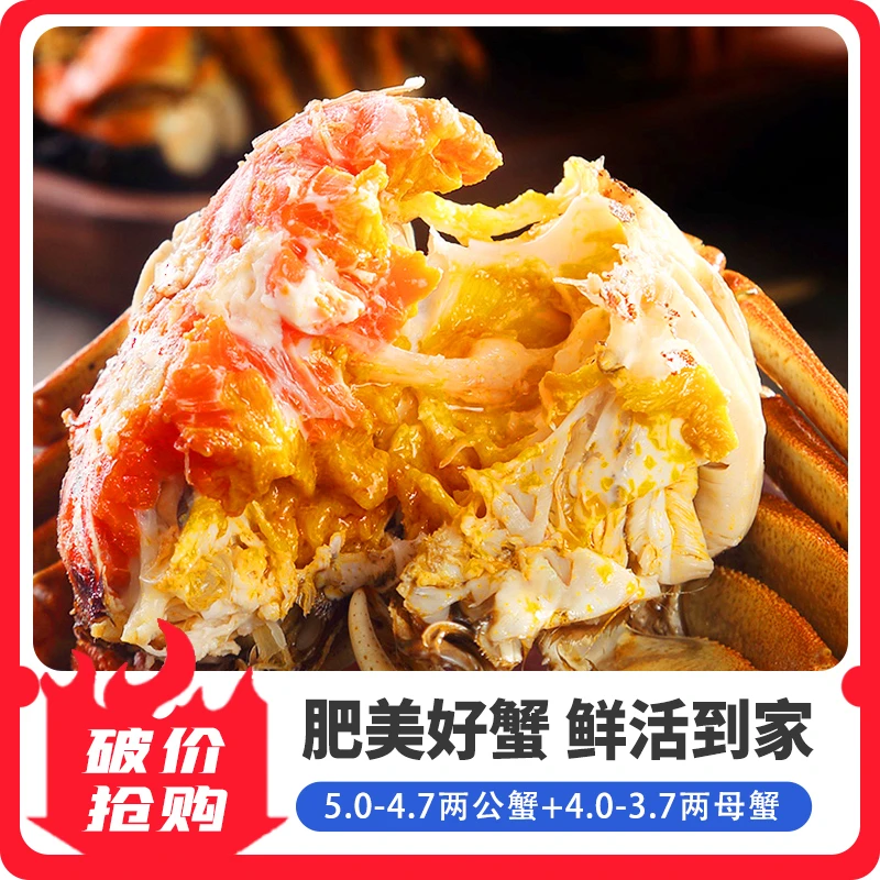 【苏州精品大闸蟹】5.0-4.7两公蟹 4.0-3.7两母蟹 送2只 共8/10只装