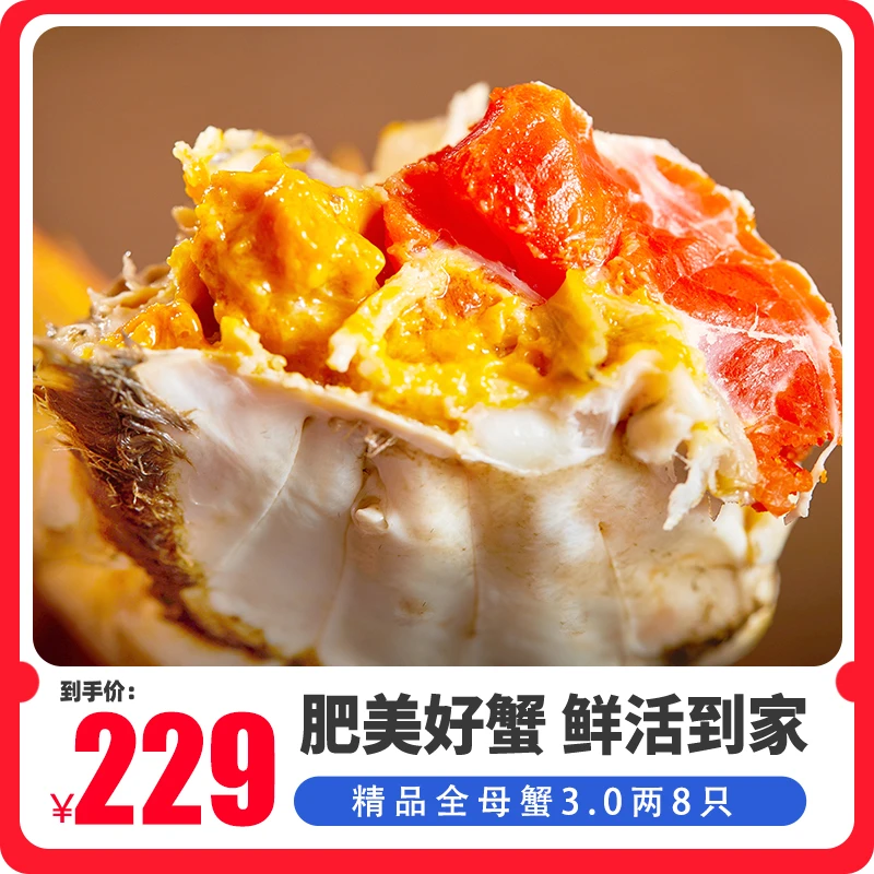 【苏州精品活蟹】3.0两顶壳肥全母蟹 8/10/12只装 秋后大闸蟹