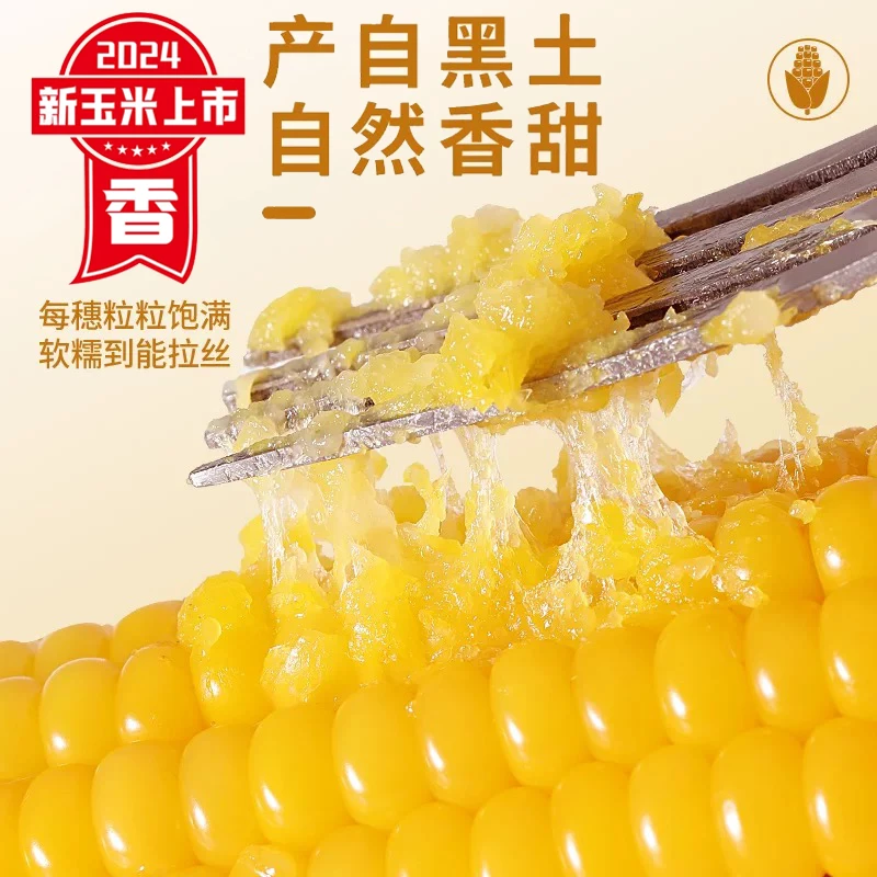 【2024年头茬】试吃两根东北黄糯玉米代餐饱腹10支真空包装2200g