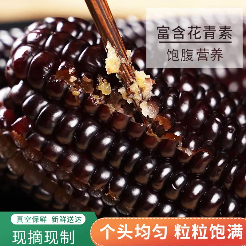 果进士2023当季新鲜有机黑糯玉米200g/袋 拍4+1 发5根