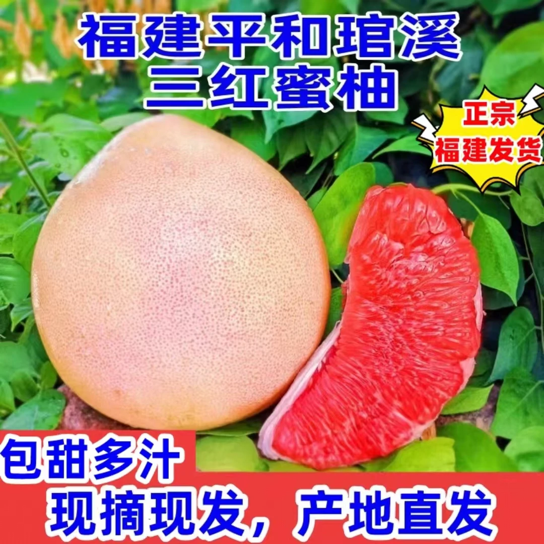 爷爷家三红蜜柚正宗福建平和馆溪新品种红心柚子中秋送礼现摘现发